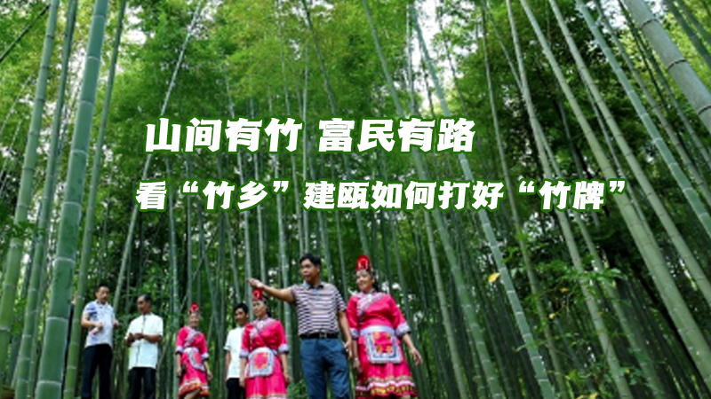 新华网