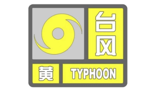 新华网