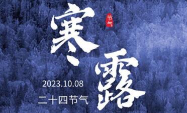 新华网
