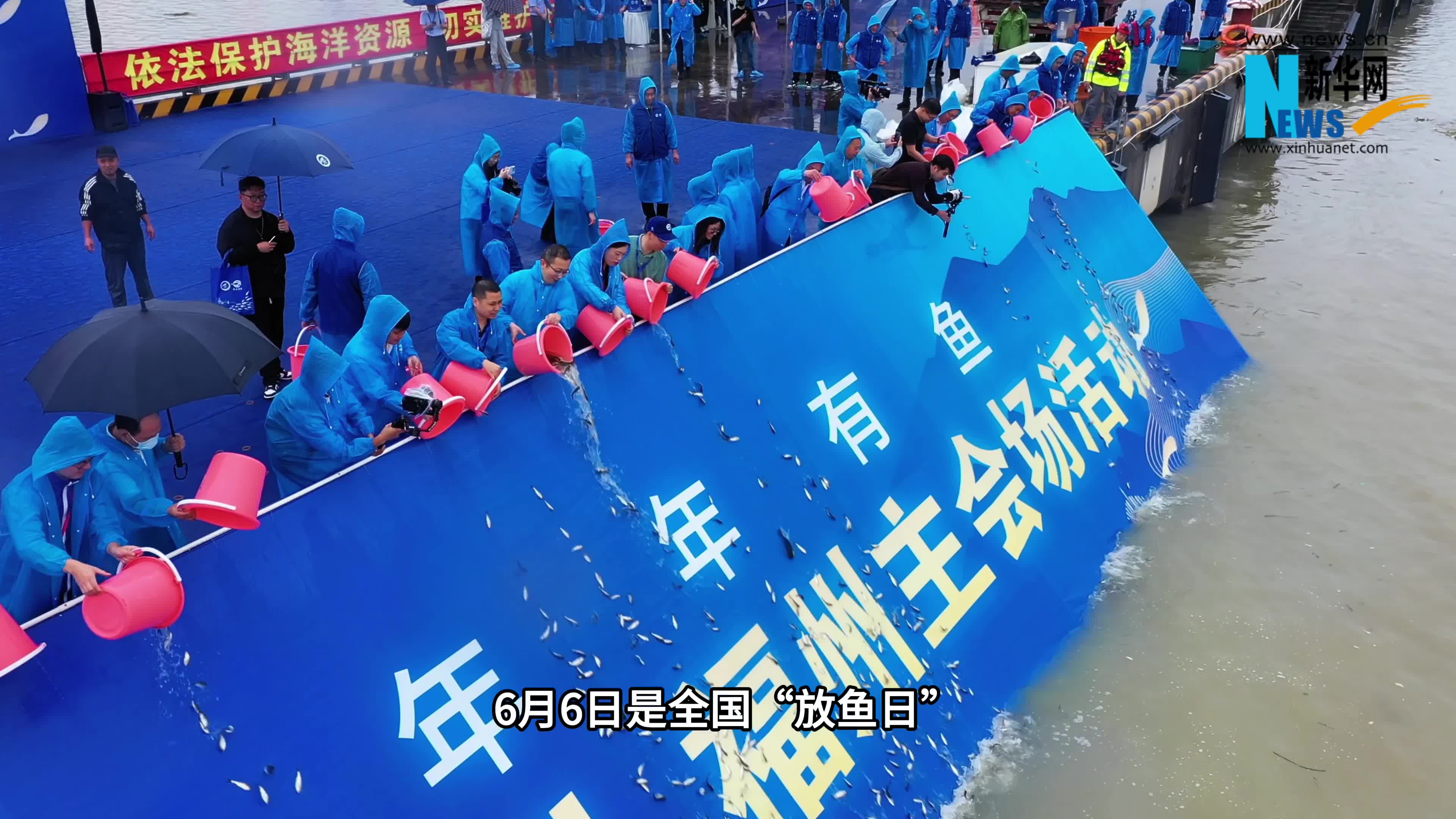 新华网