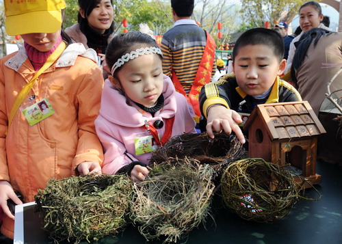 爱鸟护鸟儿童宣传画图片大全_爱鸟护鸟儿童宣
