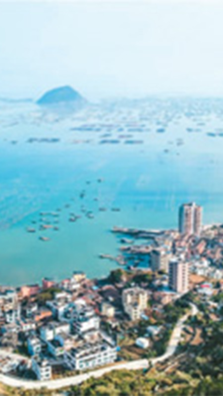 跨海而来，只为编织田园梦